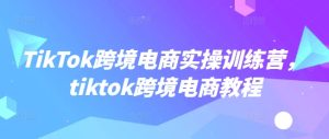 TikTok跨境电商实操训练营,tiktok跨境电商教程-88项目资源库