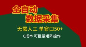 全自动数据采集,无需人工,单窗口50+,0成本可批量矩阵操作【揭秘】-88项目资源库