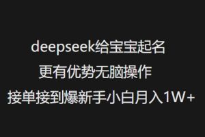 deepseek给宝宝起名更有优势无脑操作接单接到爆新手小白月入1W+-88项目资源库