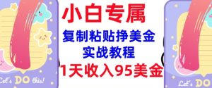 复制粘贴挣美金，0门槛，1天收入95美刀，3分钟学会，内部教程(首次公开)-88项目资源库