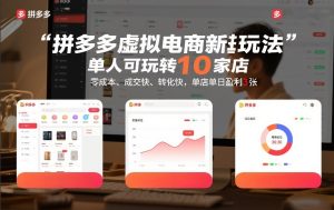 拼多多虚拟电商新玩法,单人可玩转10家店,零成本、成交快、转化快,单店单日盈利3张【揭秘】-88项目资源库