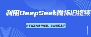 利用DeepSeek做怀旧视频,流量号多渠道变现能力强-88项目资源库