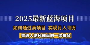 2025蓝海项目，普通人如何通过卖项目，实现月入过W，全过程【揭秘】-88项目资源库
