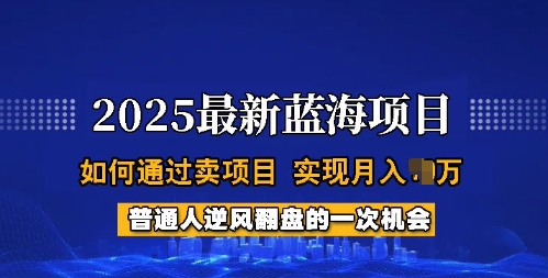 2025蓝海项目，普通人如何通过卖项目，实现月入过W，全过程【揭秘】-88项目资源库