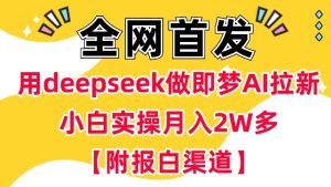 用deepseek做即梦Ai拉新 小白实操月入过W+【附报白渠道】-88项目资源库