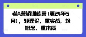 老A营销训练营(更25年3月),轻理论,重实战,轻概念,重本质-88项目资源库