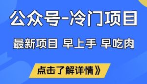 公众号冷门赛道,早上手早吃肉,单月轻松稳定变现1W【揭秘】-88项目资源库