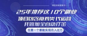 25年推荐这10个副业项目包含褂鸡类、代运营托管类、全自动打金类【揭秘】-88项目资源库
