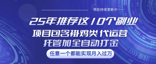 25年推荐这10个副业项目包含褂鸡类、代运营托管类、全自动打金类【揭秘】-88项目资源库