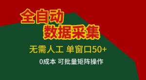 全自动数据采集项目，无需人工，单窗口可达50+收益，操作简单无难度，一个人也能轻松实现矩阵【揭秘】-88项目资源库
