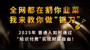 全网都在割你韭菜,我来教你做镰刀,2025普通人如何通过知识付费,实现财F自由【揭秘】-88项目资源库