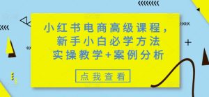 小红书电商高级课程，新手小白必学方法，实操教学+案例分析-88项目资源库