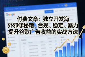 付费文章：独立开发海外邪修秘籍，合规、稳定、暴力提升谷歌广告收益的实战方法-88项目资源库