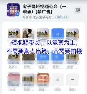 宝子哥头部团队短视频带货，以混剪为主，不需要真人出镜，不需要拍摄【更新26年3月】-88项目资源库
