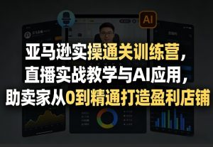 亚马逊实操通关训练营，直播实战教学与AI应用，助卖家从0到精通打造盈利店铺（更新3月）-88项目资源库