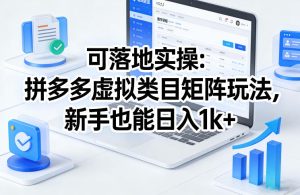可落地实操:拼多多虚拟类目矩阵玩法,新手也能日入1k+【揭秘】-88项目资源库