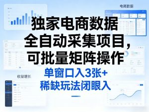 独家电商数据全自动采集项目，可批量矩阵操作，单窗口日入3张+，稀缺玩法闭眼入【揭秘】-88项目资源库