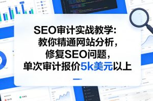 SEO审计实战教学：教你精通网站分析，修复SEO问题，单次审计报价5k美元以上-88项目资源库