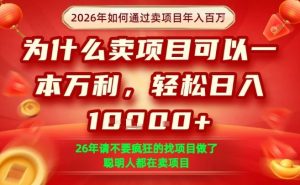 一单净利润1K+,26年想年入100个W,死磕卖项目就够了【揭秘】-88项目资源库