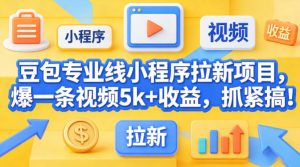 豆包专业线小程序拉新项目,爆一条视频就是5k+收益,抓紧搞这个-88项目资源库