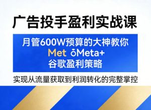 广告投手盈利实战课，月管600W预算的大神教你Meta+谷歌盈利策略，实现从流量获取到利润转化的完整掌控-88项目资源库