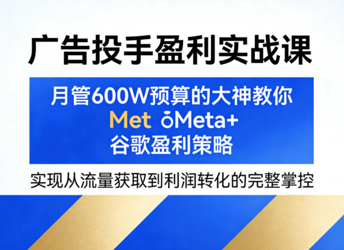 广告投手盈利实战课，月管600W预算的大神教你Meta+谷歌盈利策略，实现从流量获取到利润转化的完整掌控-88项目资源库