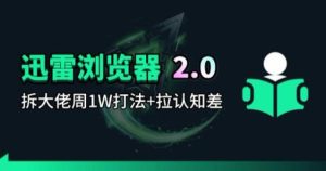 迅雷浏览器项目2.0_拆个大佬周1W的打法-88项目资源库
